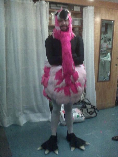Flamingo costume - 