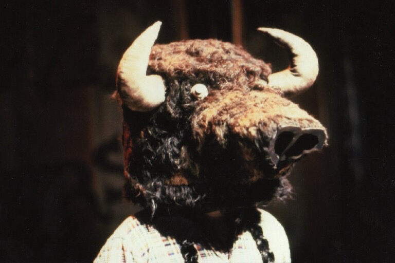 Buffalo head - Arthur Kopit's 